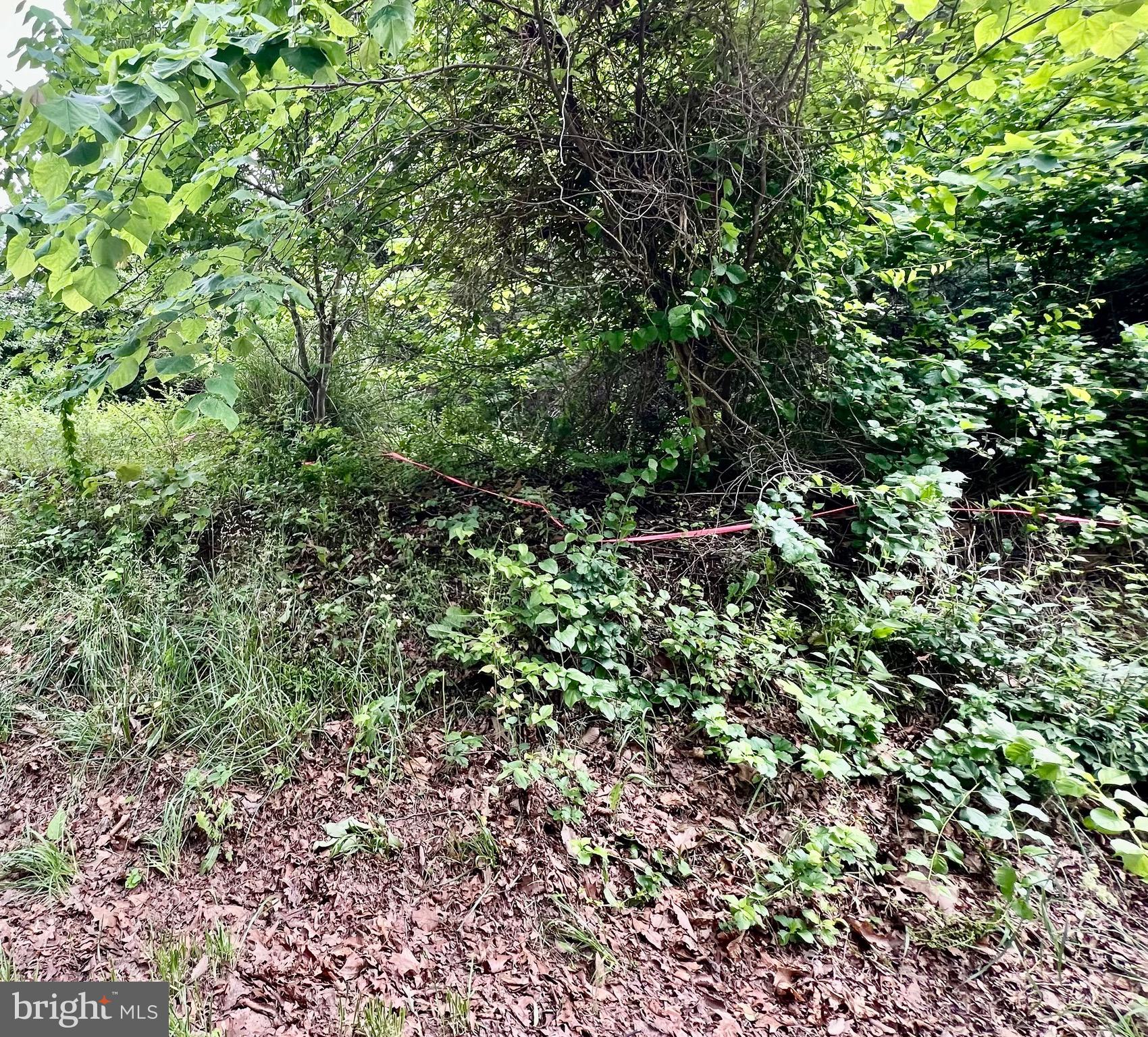 0 Castleton Ford Road Castleton, VA 22716 - Photo 3 of 9