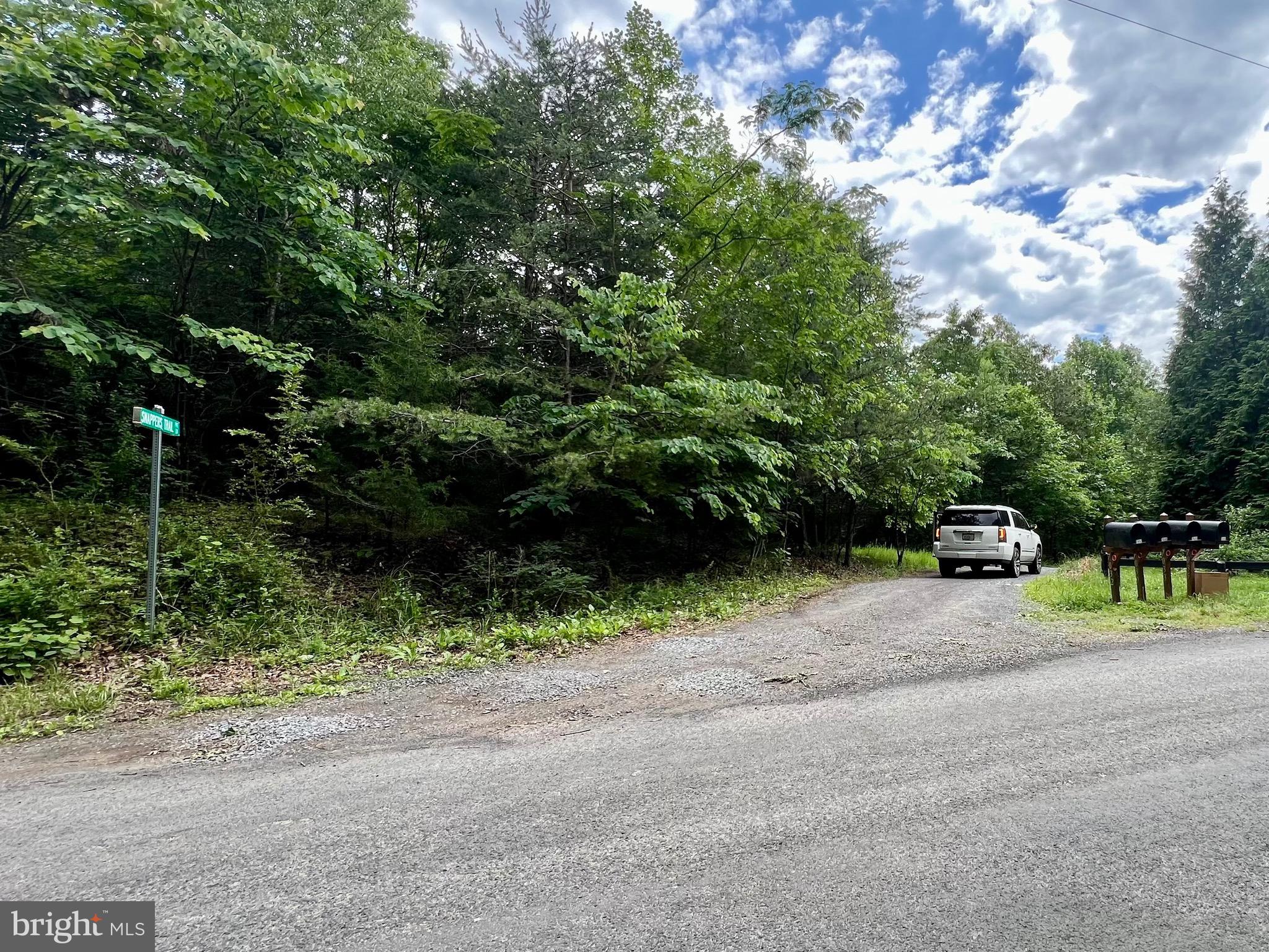 0 Castleton Ford Road Castleton, VA 22716 - Photo 4 of 9