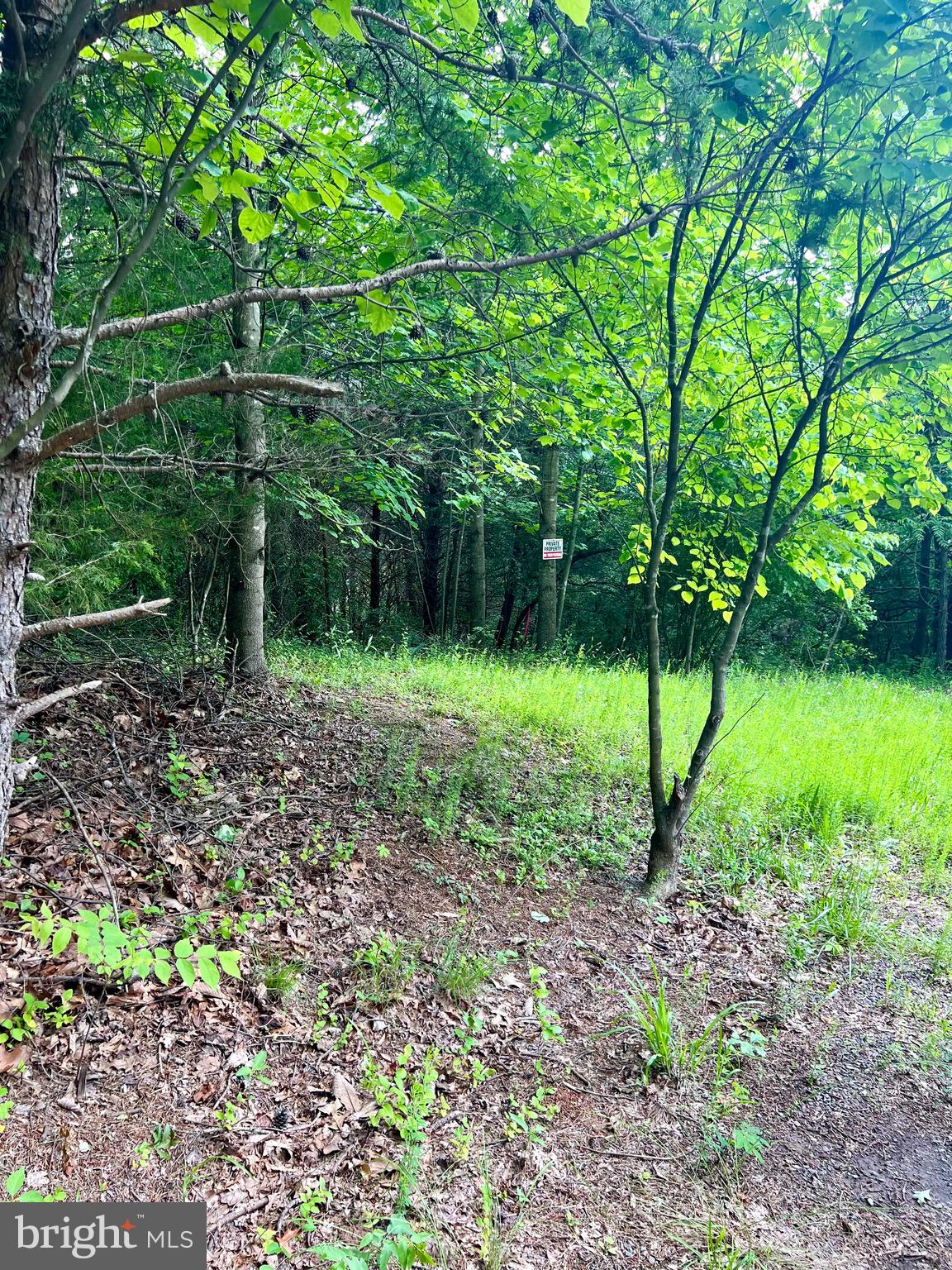 0 Castleton Ford Road Castleton, VA 22716 - Photo 7 of 9