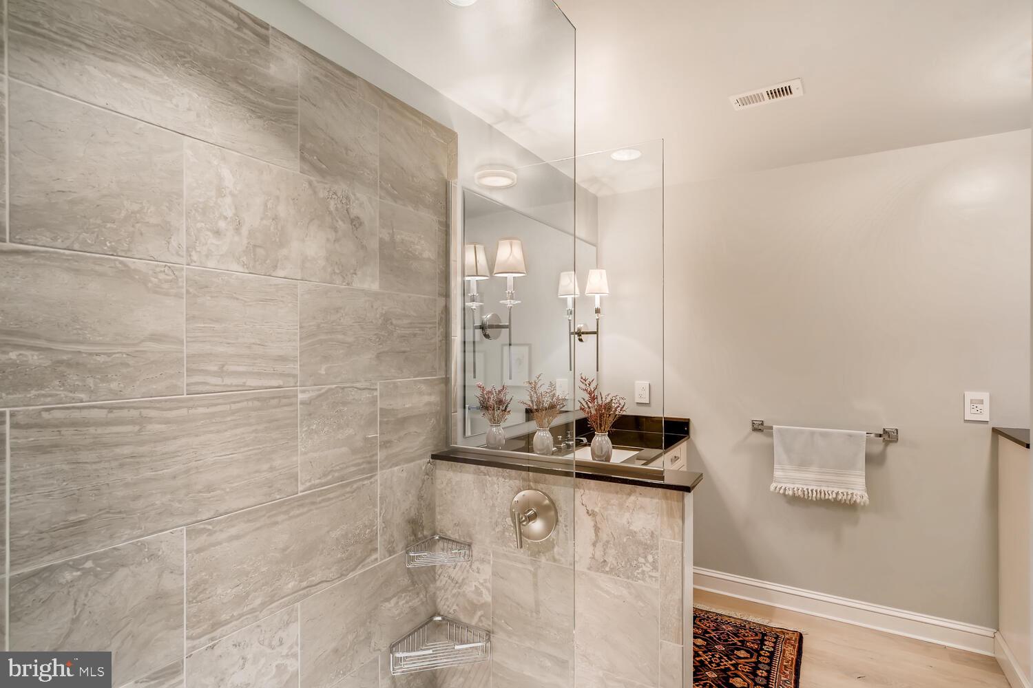9 Devon Hill Road, Unit B2 Baltimore, MD 21210 - Photo 48 of 58 FEATURE: Walk-in extra long shower