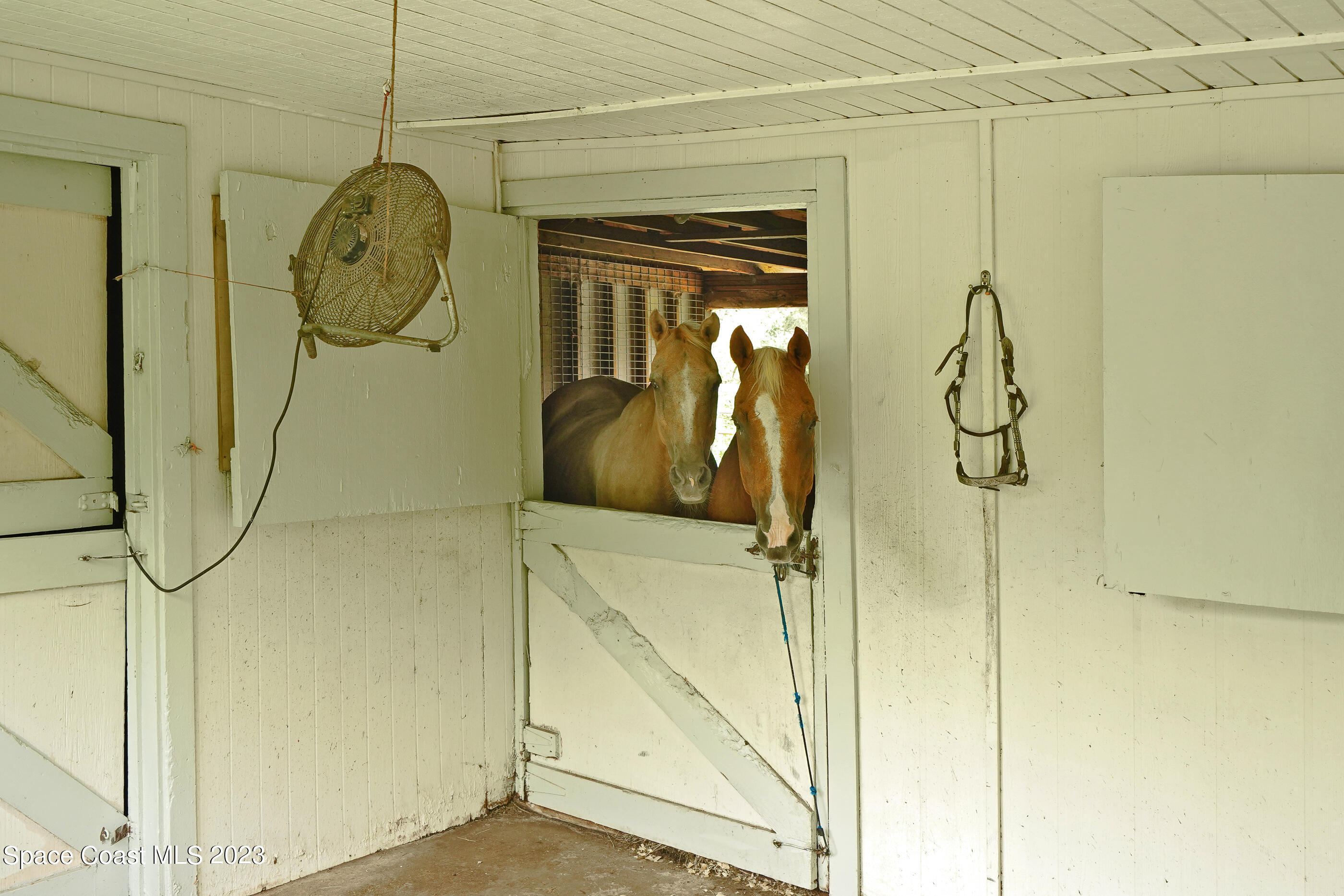 2525 Friday Road Cocoa, FL 32926 - Photo 36 of 77 2525 Friday Rd-46