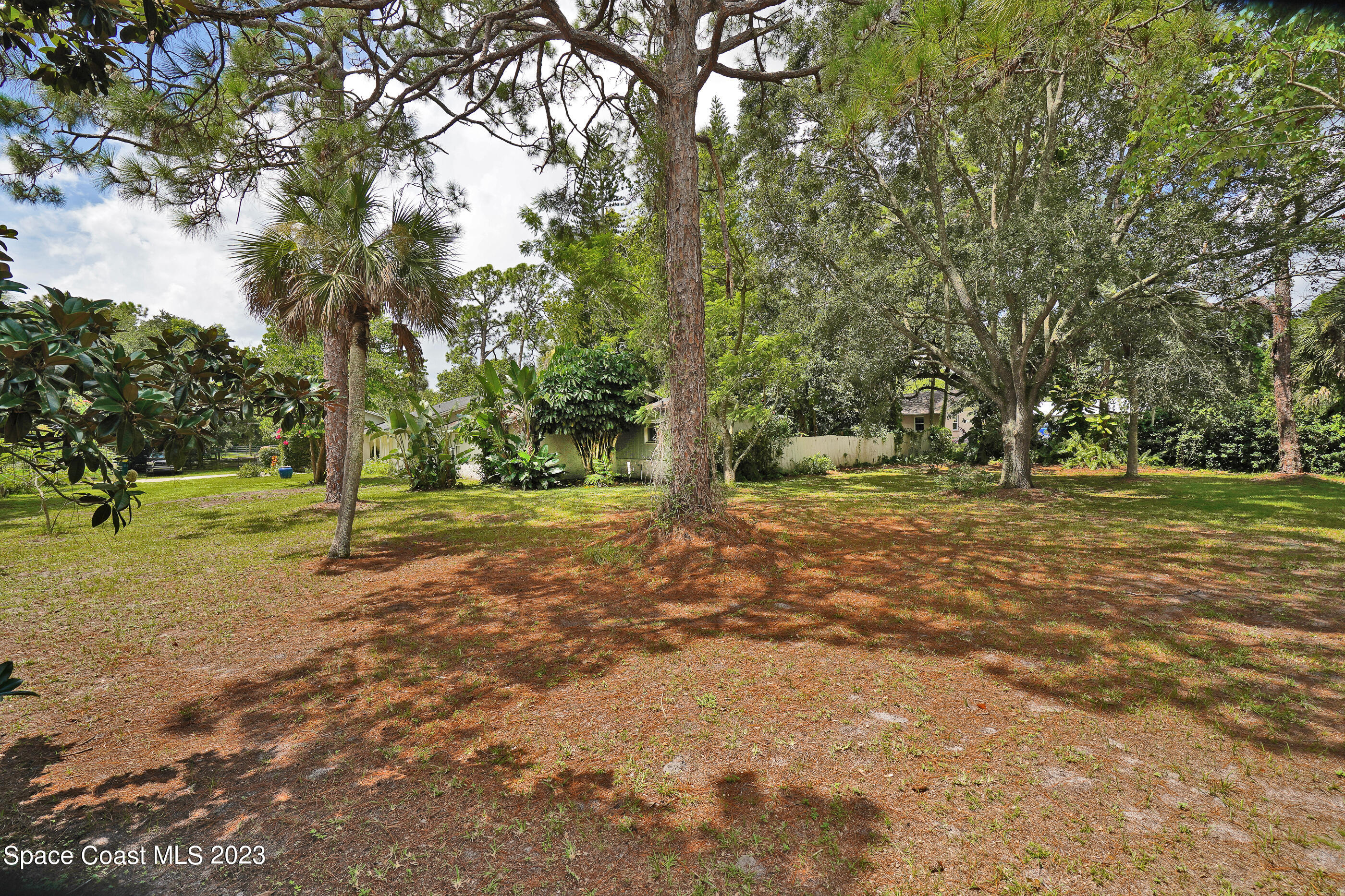 2525 Friday Road Cocoa, FL 32926 - Photo 64 of 77 a view of a tree in a yard