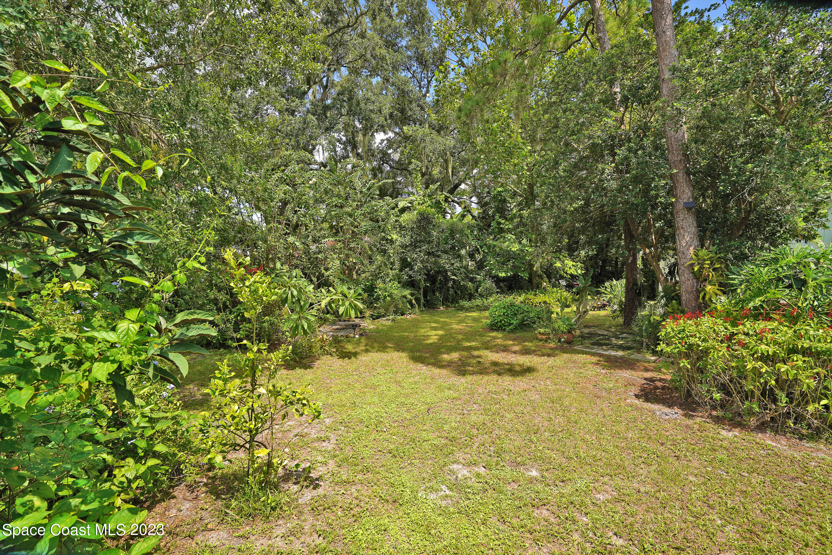2525 Friday Road Cocoa, FL 32926 - Photo 69 of 77 a view of a yard with a tree