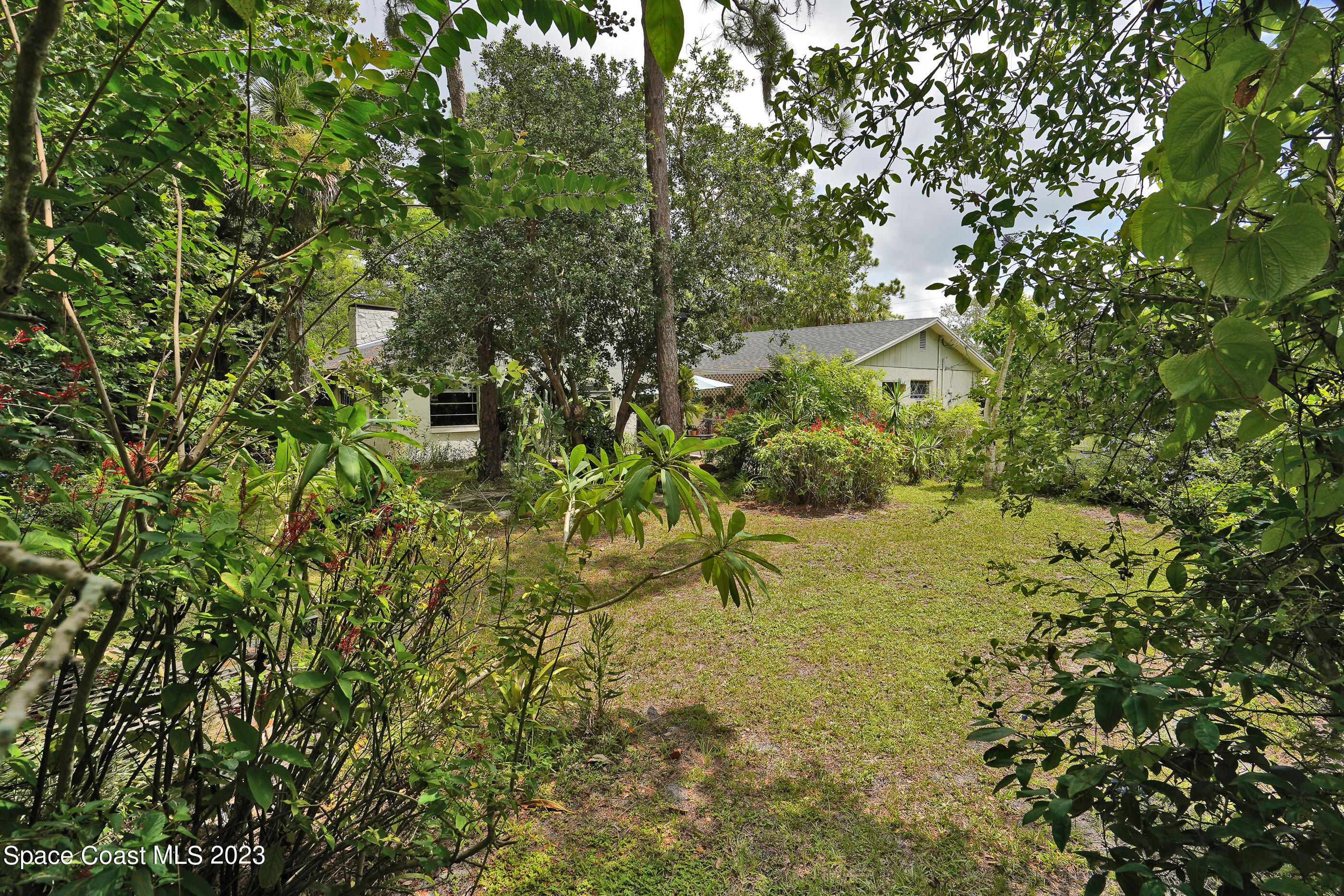 2525 Friday Road Cocoa, FL 32926 - Photo 70 of 77 a view of a yard with plants and large trees