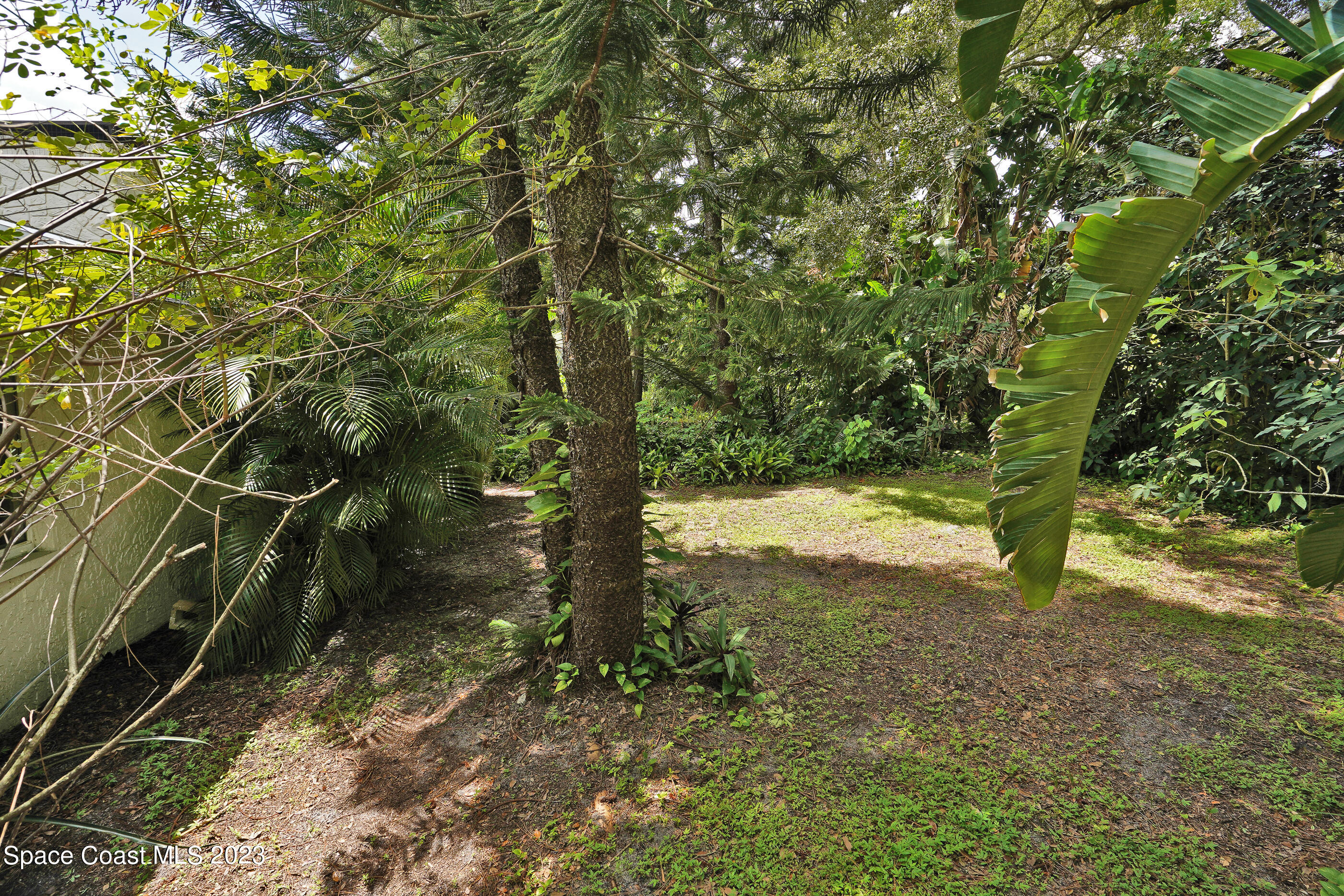 2525 Friday Road Cocoa, FL 32926 - Photo 75 of 77 a view of a yard with plants and tree