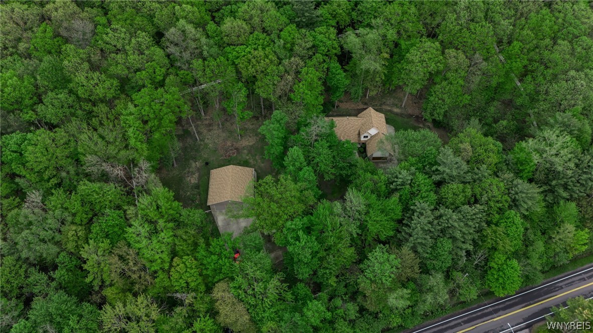 7239 South Abbott Road Boston, NY 14075 - Photo 28 of 30
