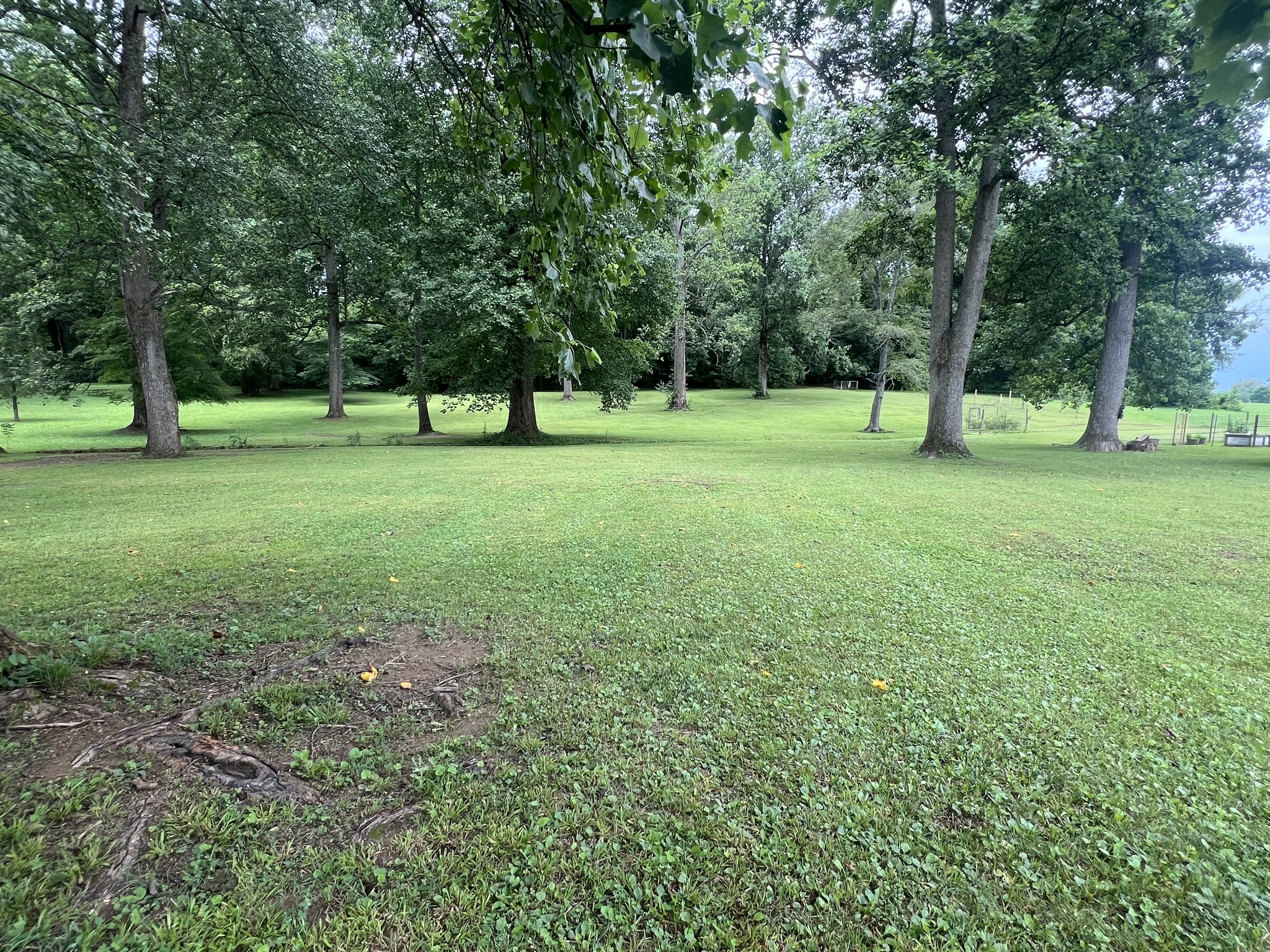 124 Amy Road Hillsboro, TN 37342 - Photo 21 of 24