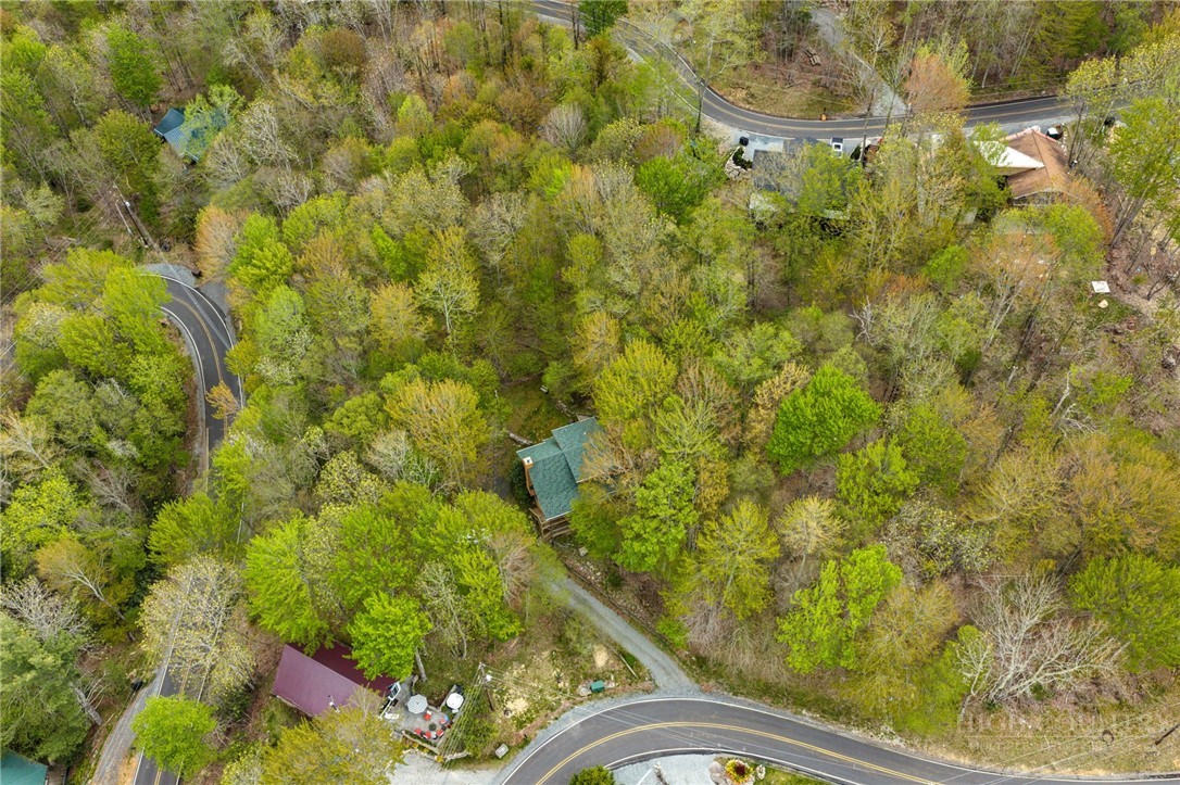 259 Greenbriar Road Beech Mountain, NC 28604 - Photo 38 of 41 a view of outdoor space and garden