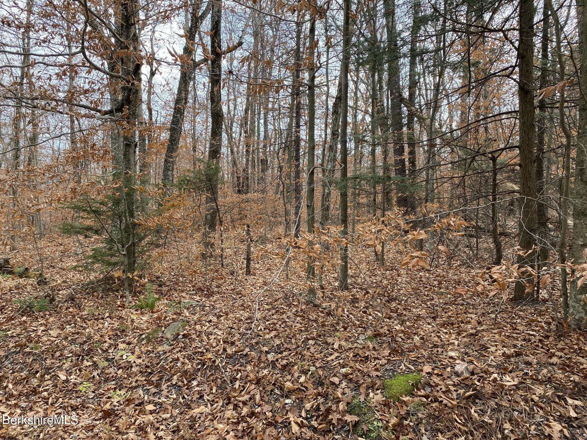 Lot 10 Plumb Road Becket, MA 01223 - Photo 2 of 13 front of lot