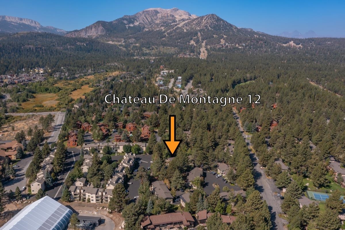 3251 Chateau Road, Unit 12 Mammoth Lakes, CA 93546 - Photo 38 of 50 a view of a city