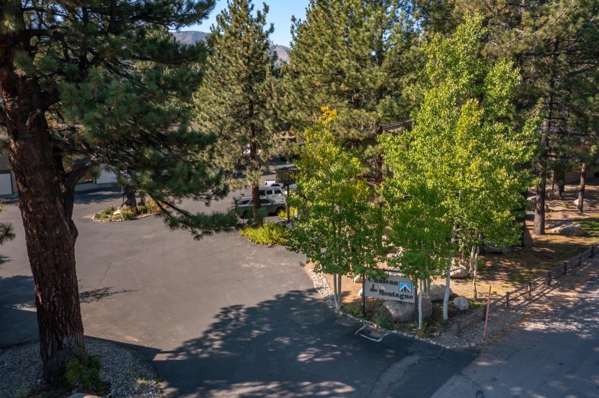 3251 Chateau Road, Unit 12 Mammoth Lakes, CA 93546 - Photo 49 of 50 a view of a trees