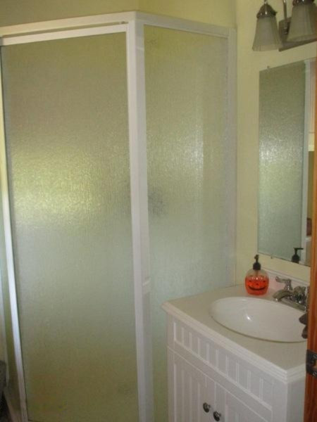 982 Adolph Road Union City, MI 49094 - Photo 15 of 27 IMG_7683