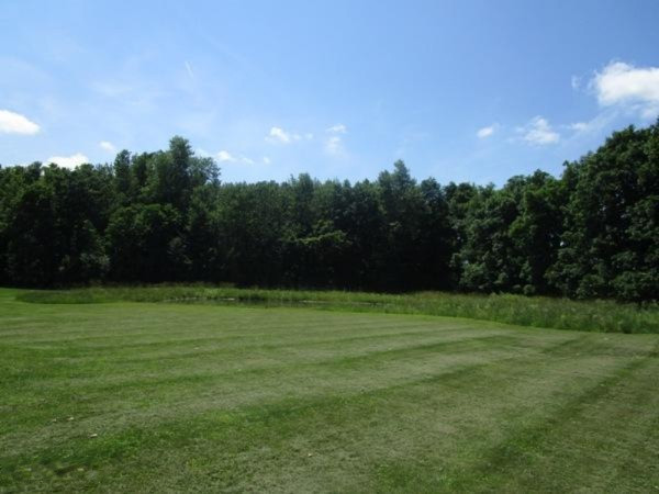 982 Adolph Road Union City, MI 49094 - Photo 27 of 27 IMG_7733