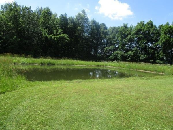 982 Adolph Road Union City, MI 49094 - Photo 4 of 27 IMG_7730