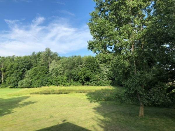 982 Adolph Road Union City, MI 49094 - Photo 5 of 27 IMG_0684