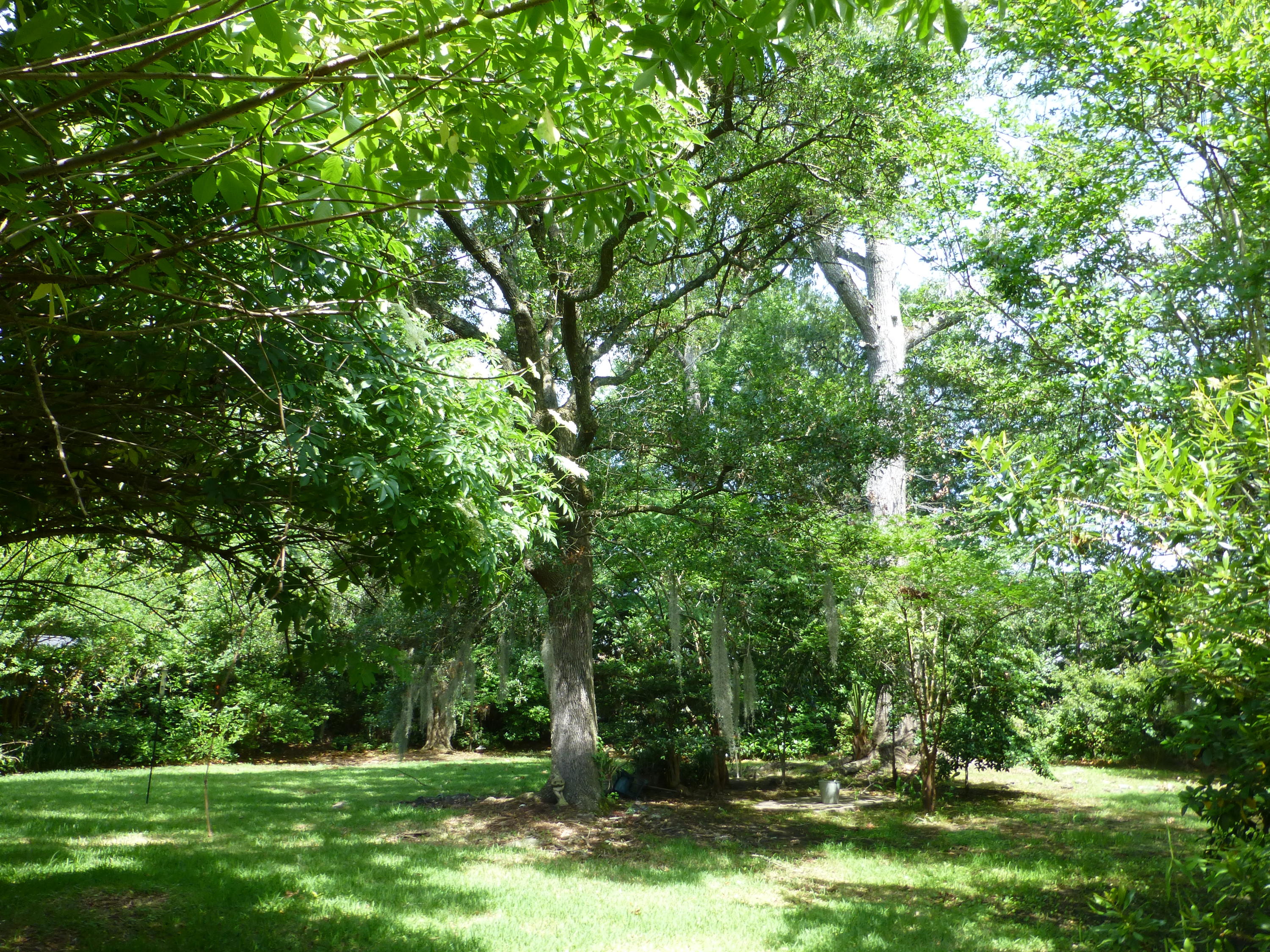 10 Sayle Road Charleston, SC 29407 - Photo 3 of 7 P1020795 - Copy