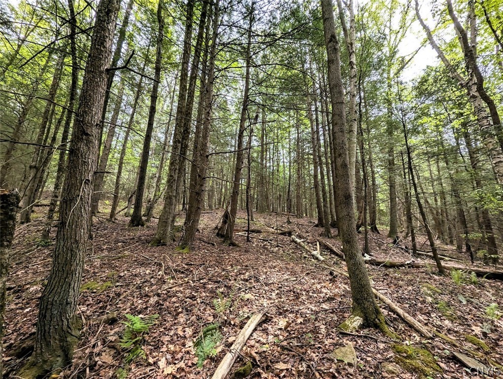 Stewart Road Addison, NY 14801 - Photo 22 of 29