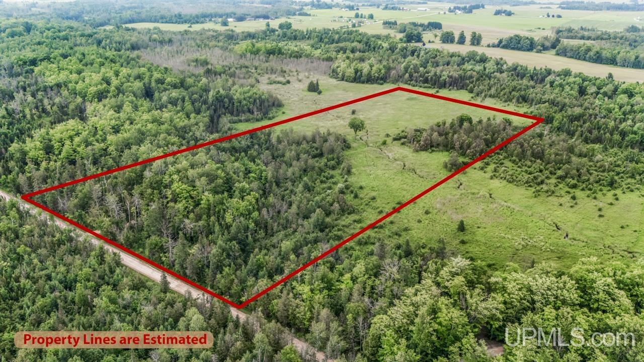 Tbd Tbd Delta Menominee C Road Bark River, MI 49807 - Photo 2 of 13