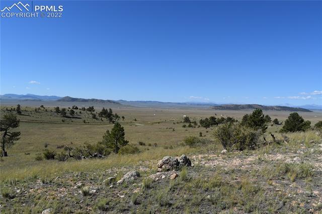11682 Jackson Road Lake George, CO 80827 - Photo 2 of 13