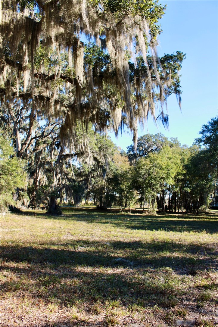 52 Coopers Point Drive Northeast Townsend, GA 31331 - Photo 2 of 11