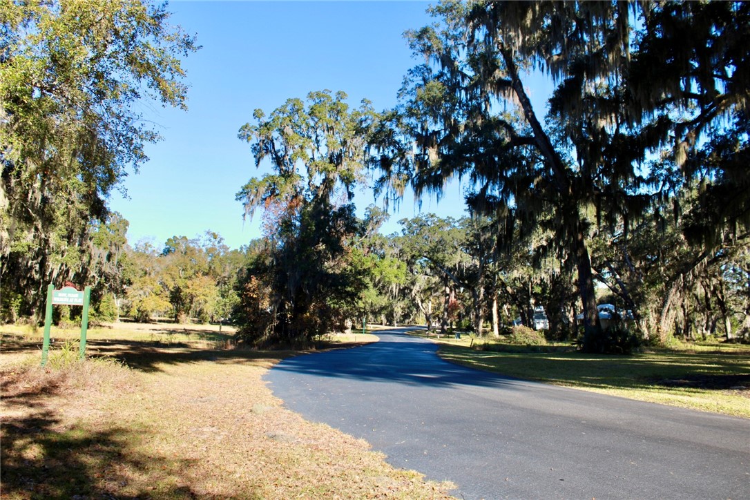 52 Coopers Point Drive Northeast Townsend, GA 31331 - Photo 3 of 11