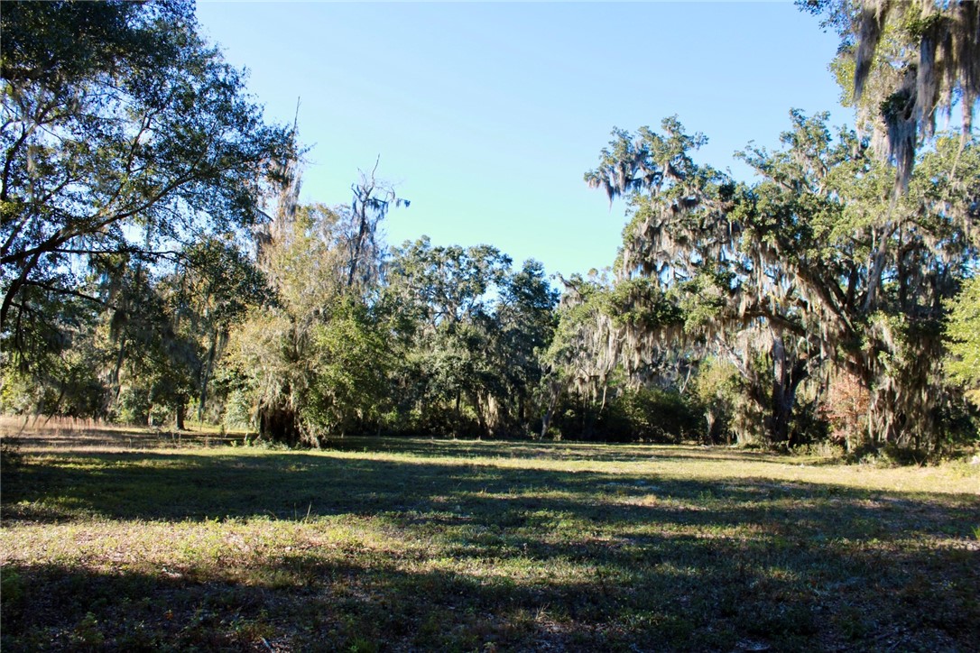 52 Coopers Point Drive Northeast Townsend, GA 31331 - Photo 4 of 11