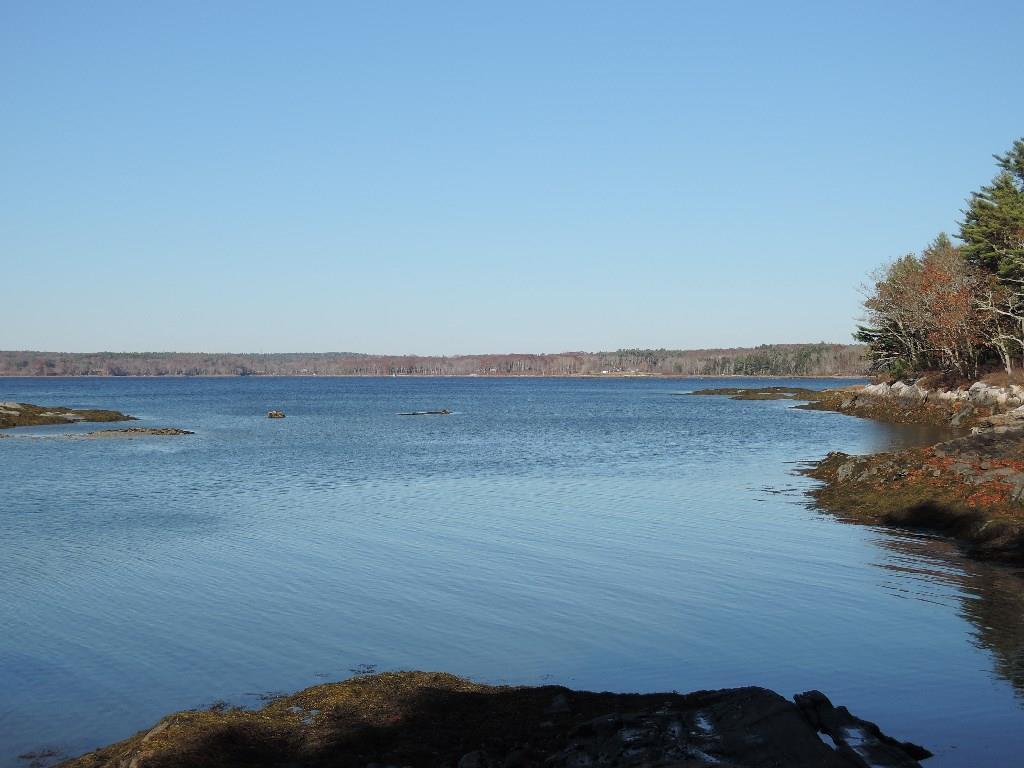 161 Ice Pond Road Waldoboro, ME 04572 - Photo 18 of 18 ice pond shore