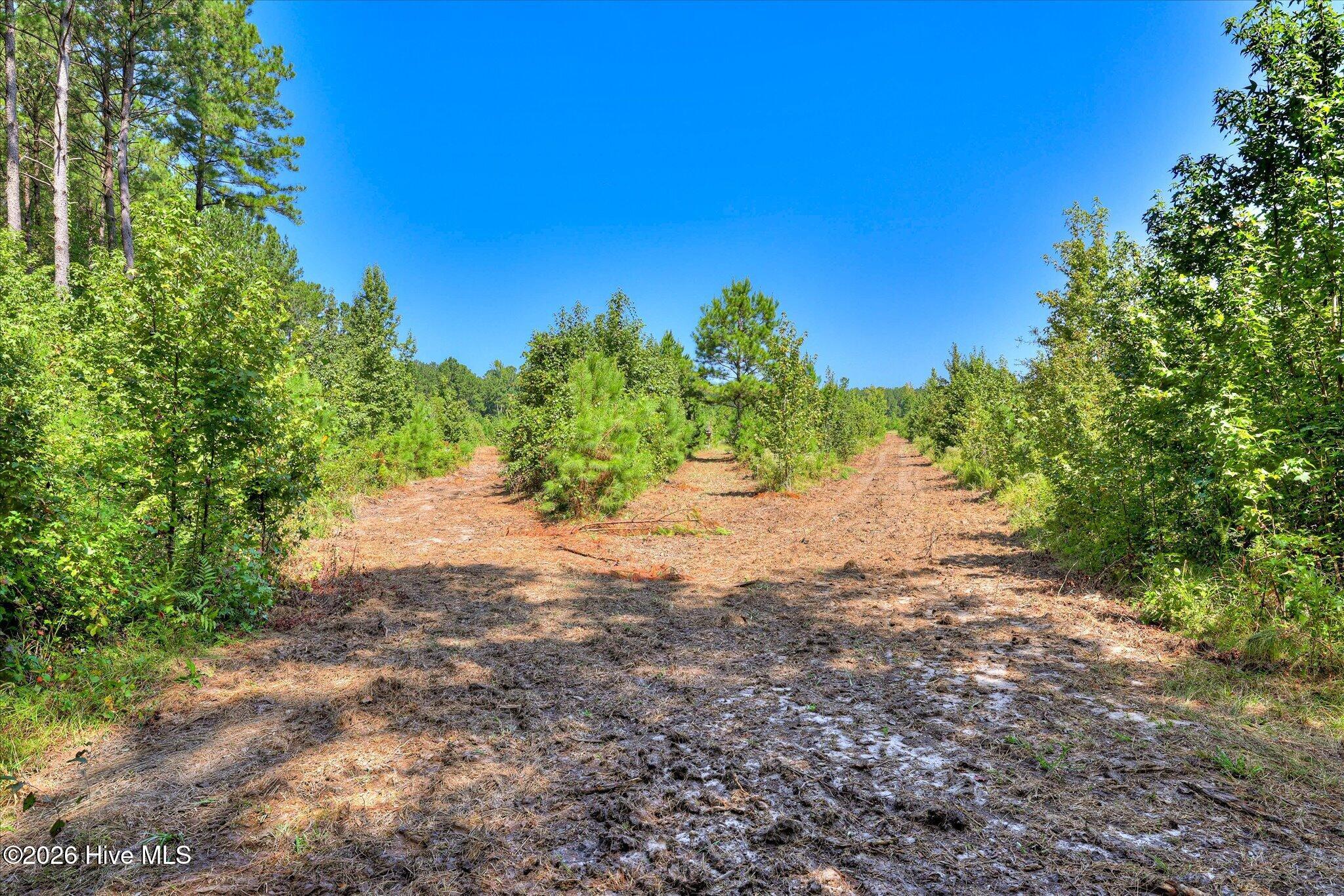 170 Landing Road Jackson, SC 29831 - Photo 15 of 76 Gallery Image 15
