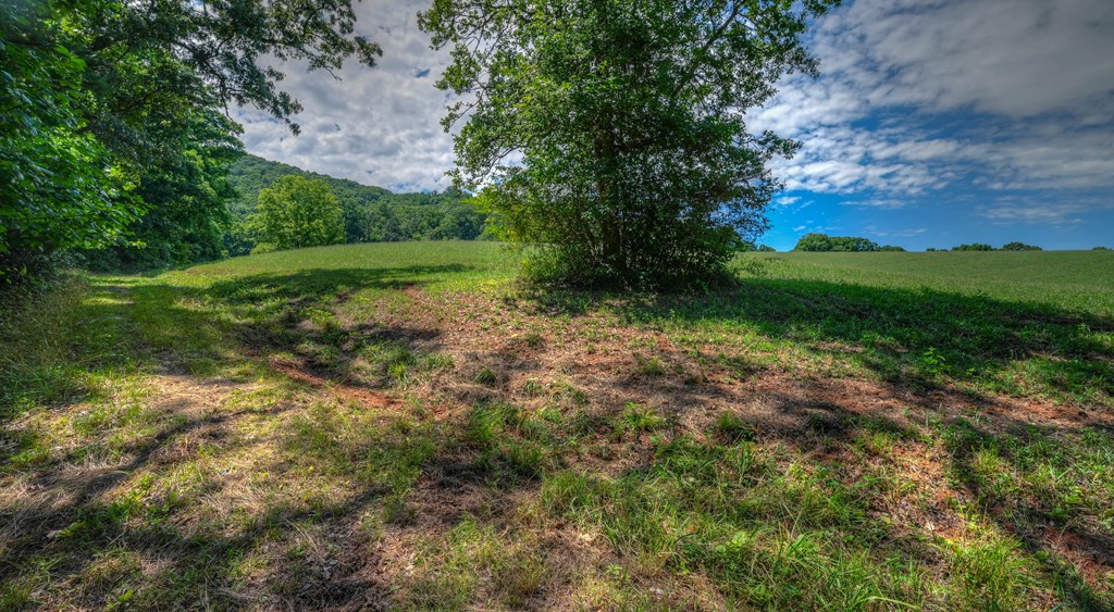 0 Crowe Road Murphy, NC 28906 - Photo 28 of 52 Gallery Image 28
