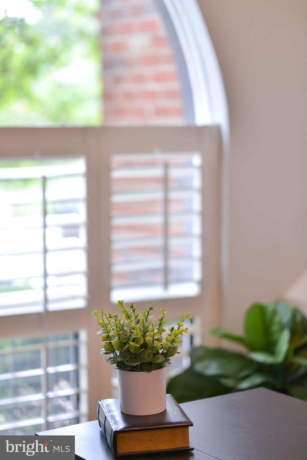 541 Brummel Court Northwest, Unit 541 Washington, DC 20012 - Photo 7 of 79