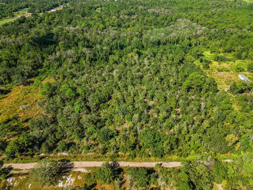 17 Kelly Ridge Road Frostproof, FL 33843 - Photo 1 of 1 a view of a lush green forest