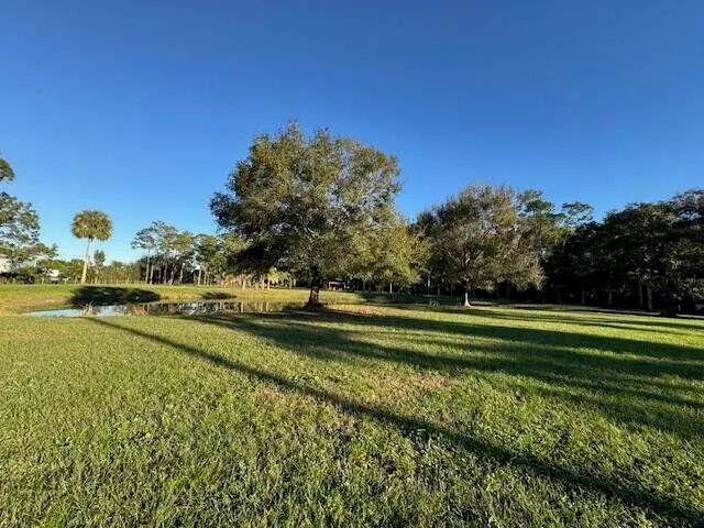 a view of a big yard with potted plants and large trees