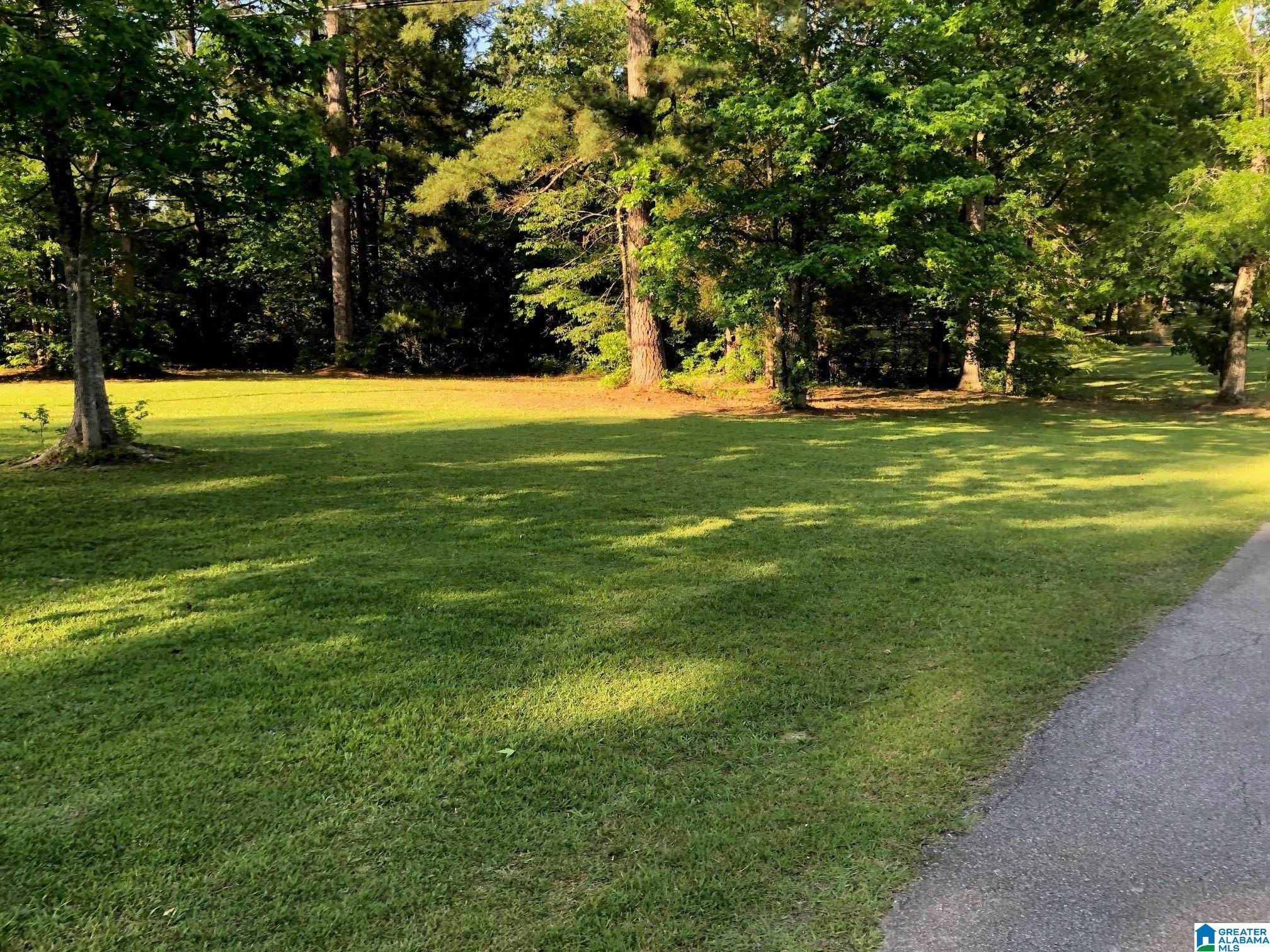 958 Chelsea Road Columbiana, AL 35051 - Photo 3 of 16