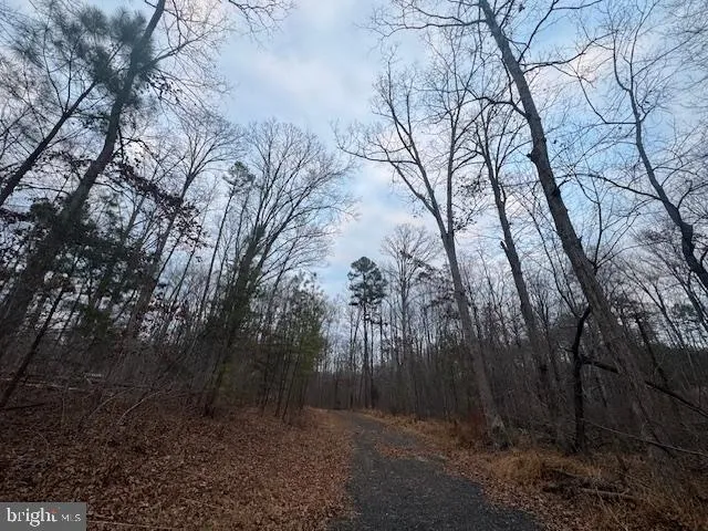 $140,000 | Lot 3 Woodlands Drive, Orange, VA 22960