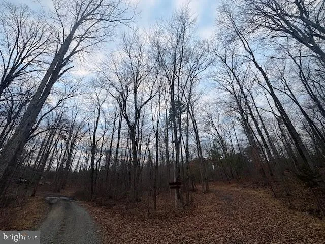 $140,000 | Lot 3 Woodlands Drive, Orange, VA 22960