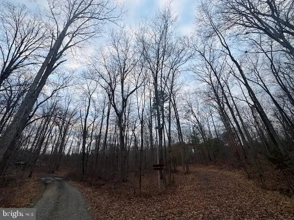 $140,000 | Lot 3 Woodlands Drive, Orange, VA 22960