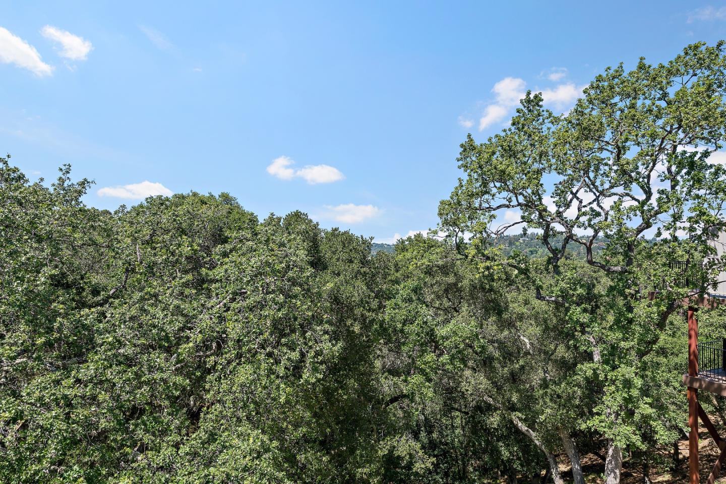 5 Franciscan Ridge Portola Valley, CA 94028 - Photo 29 of 34