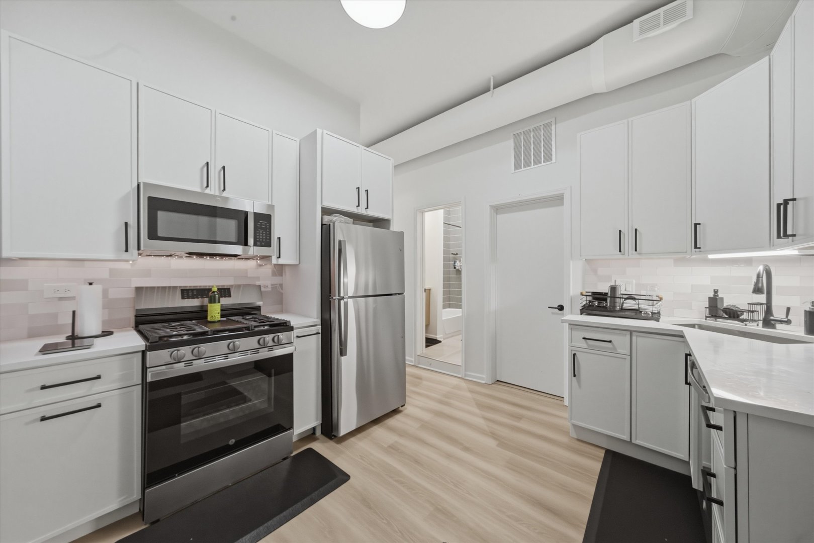 1113 South Racine Avenue Chicago, IL 60607 - Photo 7 of 40