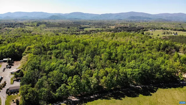 a view of a forest with mountains in the background