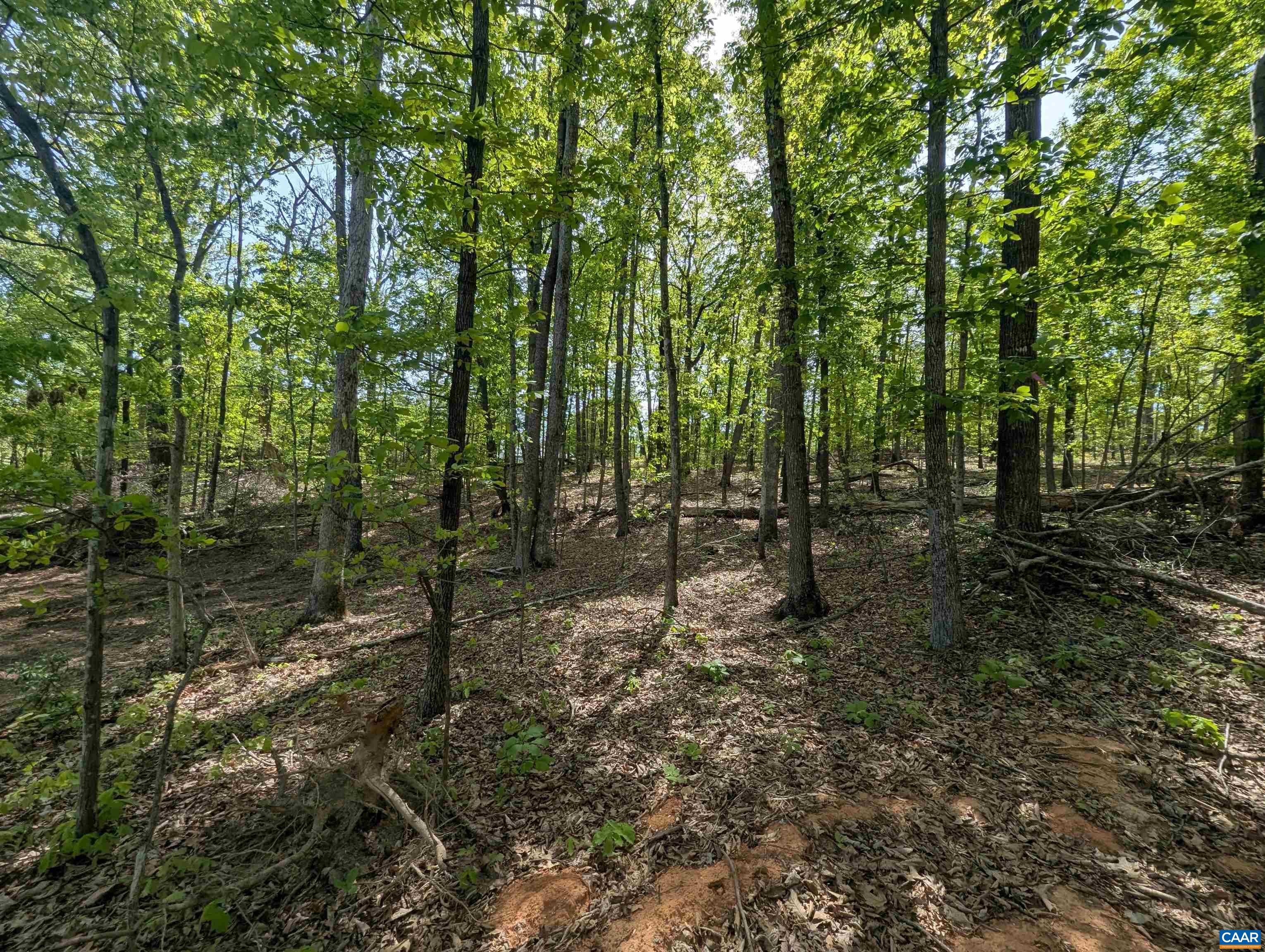 Lot 10 Advance Mills Road Ruckersville, VA 22968 - Photo 2 of 13