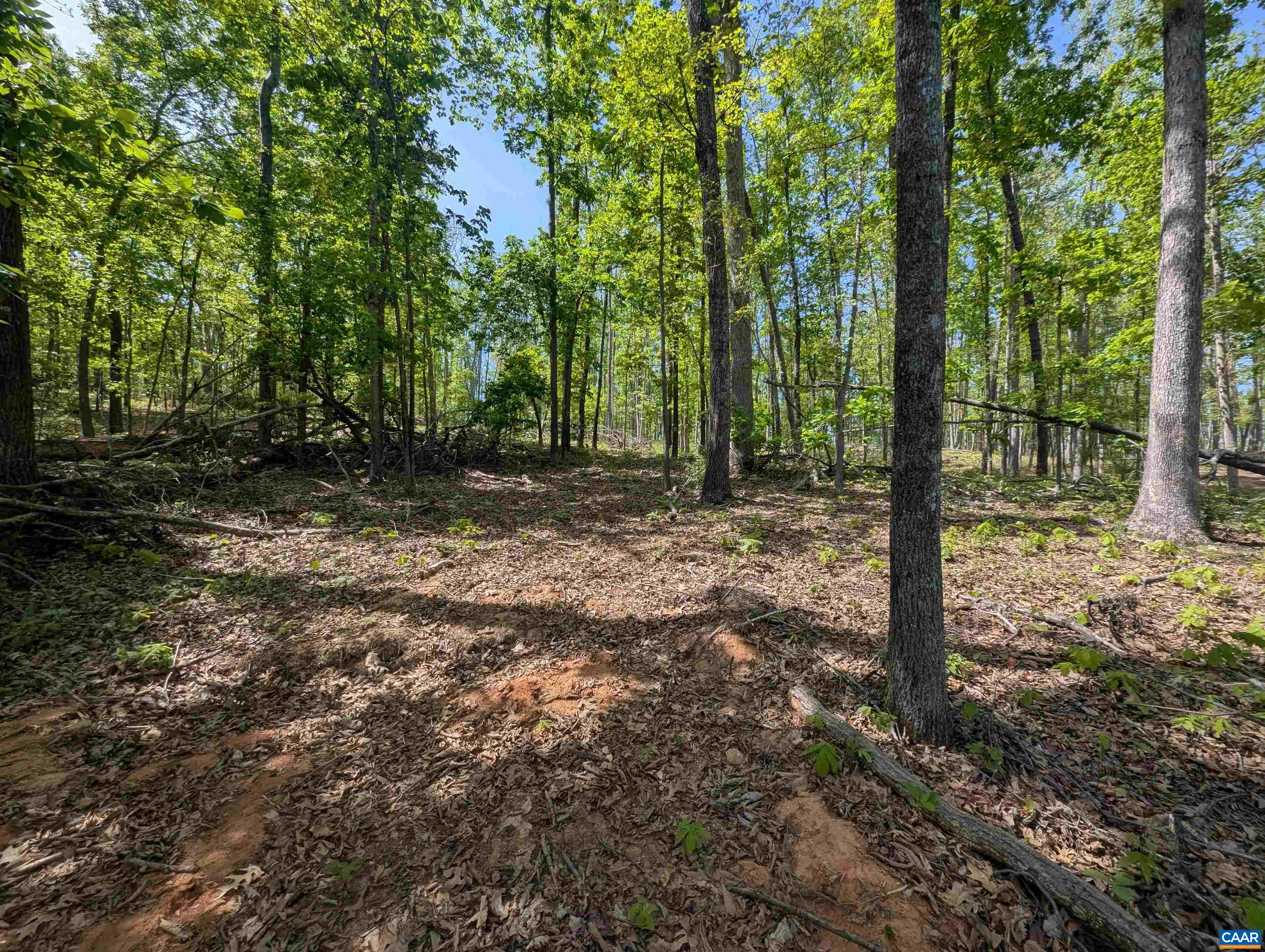 Lot 10 Advance Mills Road Ruckersville, VA 22968 - Photo 3 of 13