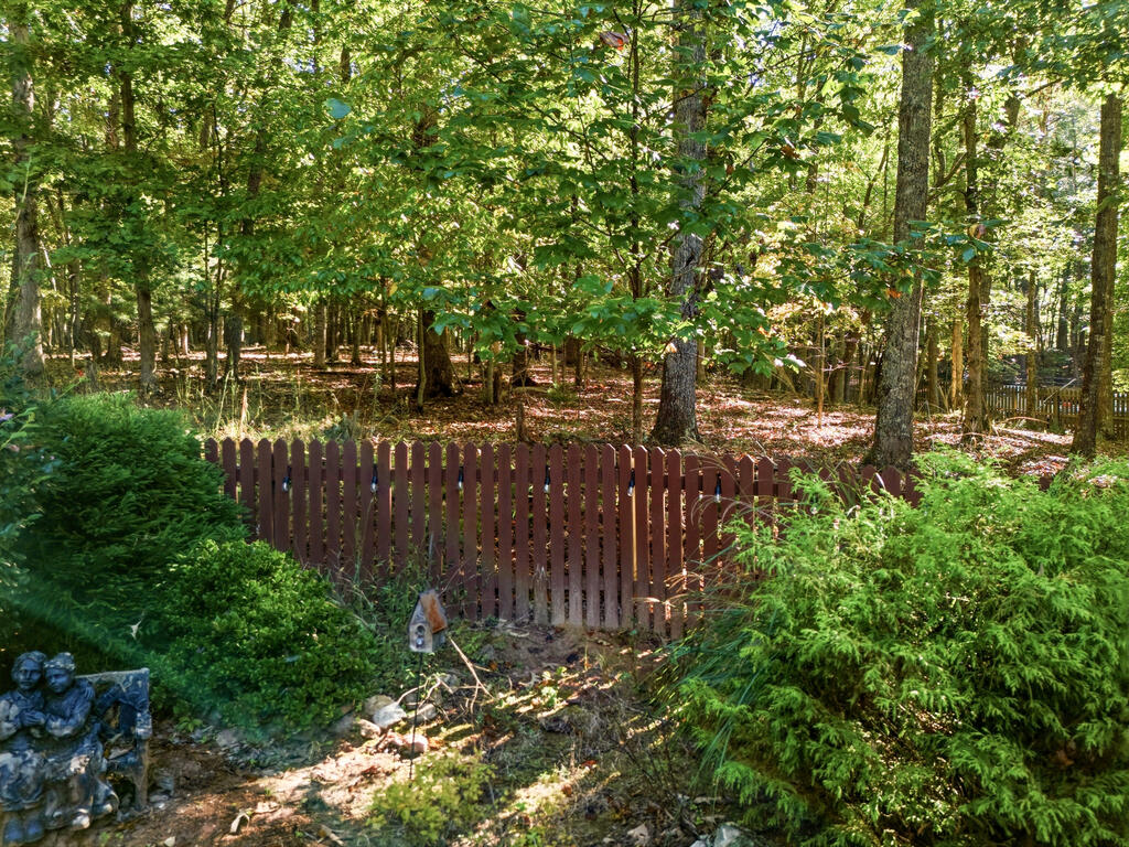 654 Ford Road Warne, NC 28909 - Photo 57 of 61 Gallery Image 57