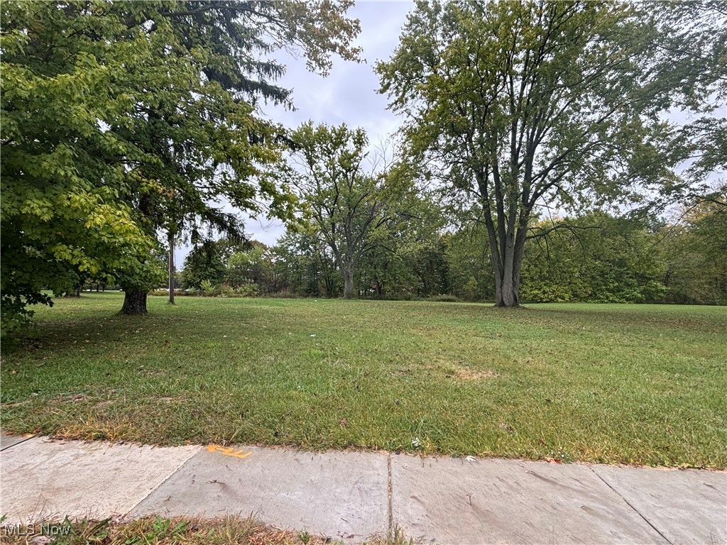 9006 Maple Grove Road Windham, OH 44288 - Photo 1 of 4