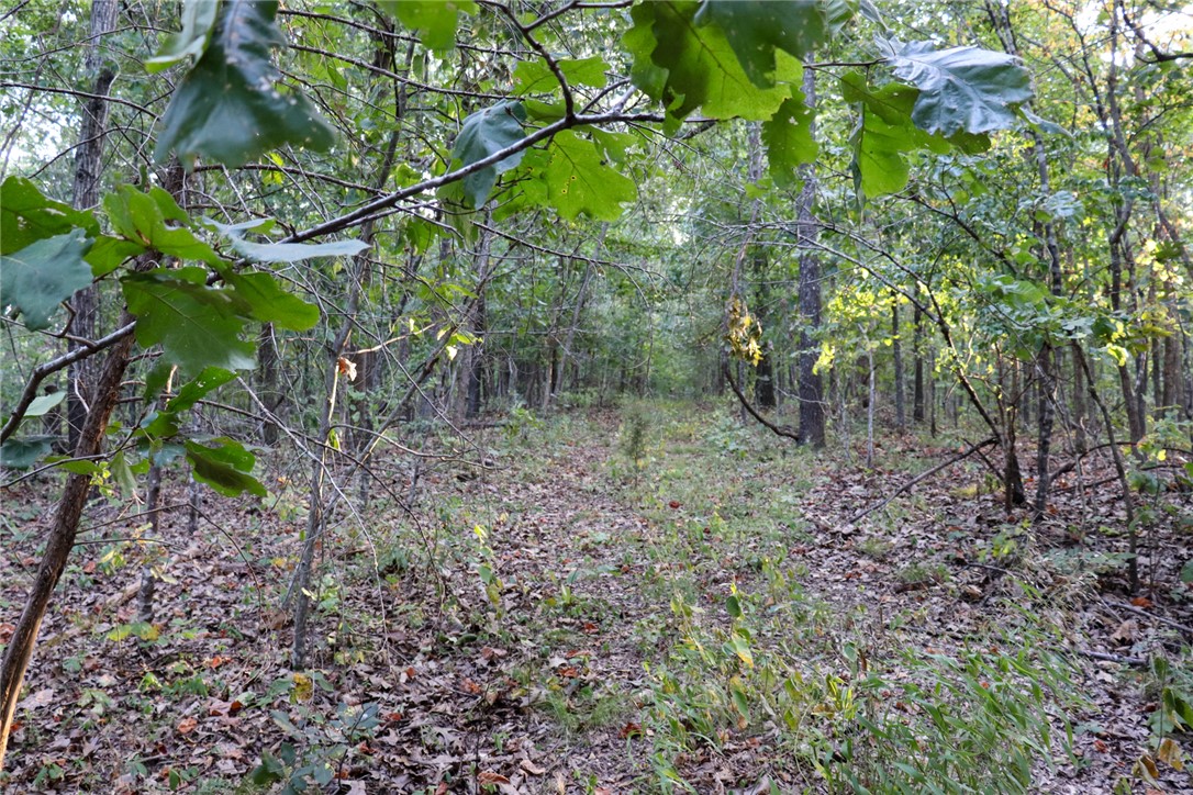 922 Baker Cemetery Road Williford, AR 72482 - Photo 25 of 50 Gallery Image 25