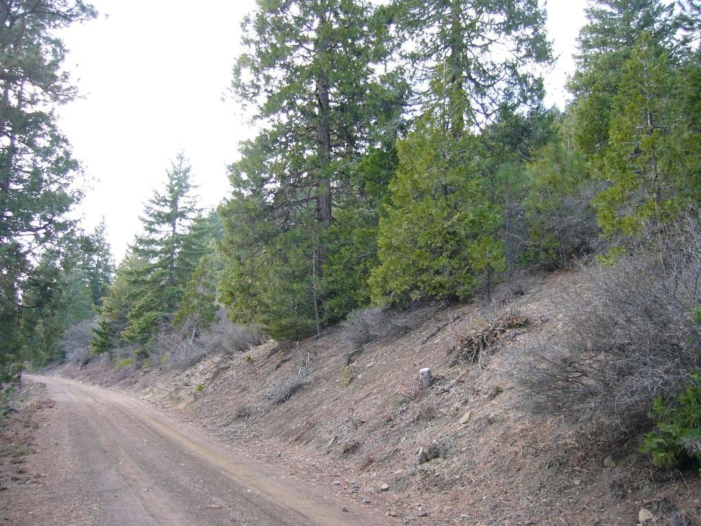 159.4 Acres Ridge Road Yreka, CA 96097 - Photo 18 of 23 Gallery Image 18
