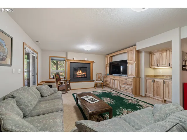 a view of living room with furniture and a fireplace