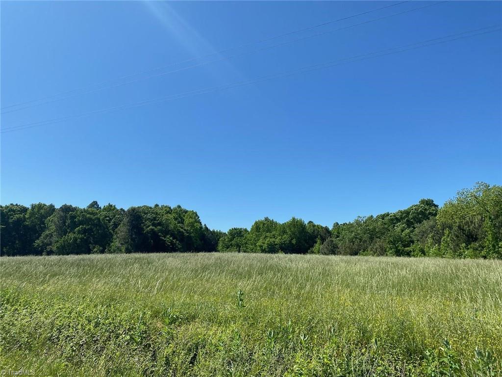 1 Brooksdale Road Staley, NC 27355 - Photo 1 of 1
