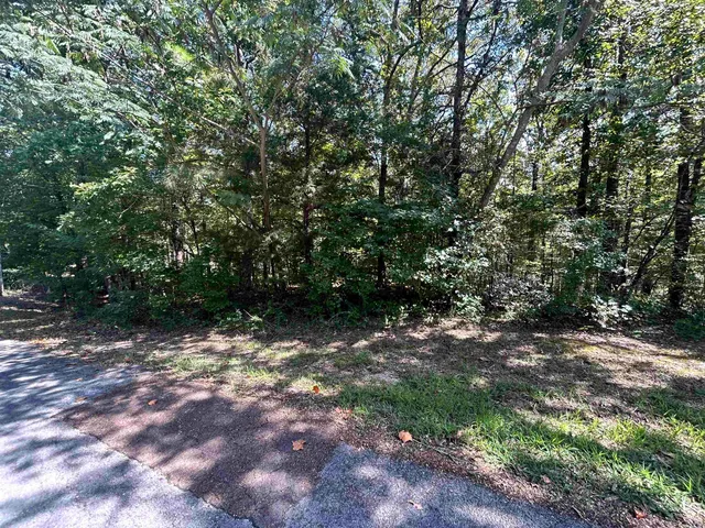 a view of a yard with a tree