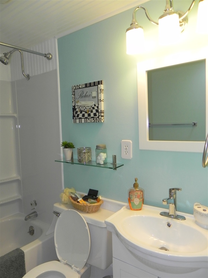 534 Baintree Road Lake Summerset, IL 61019 - Photo 19 of 25 a bathroom with a sink a toilet and shower