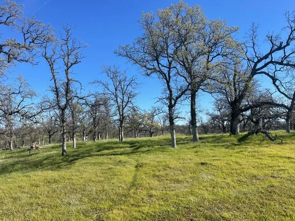 $118,000 | 108 Lot 8 Of Tract No 91 1002 Lane, Red Bluff, CA 96080